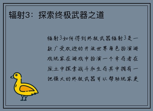 辐射3：探索终极武器之道